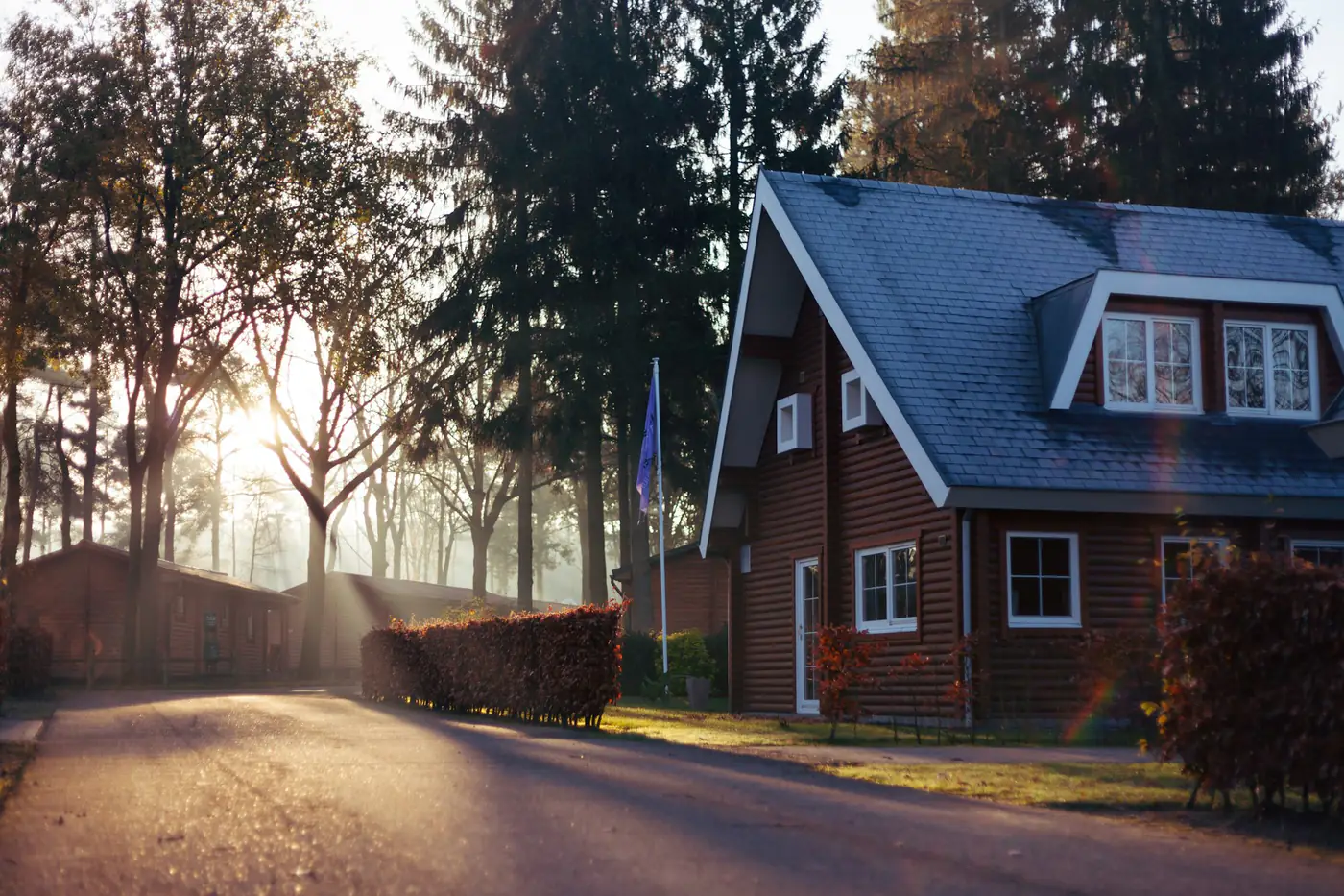 A brick house with dormer windows framed by trees in soft light