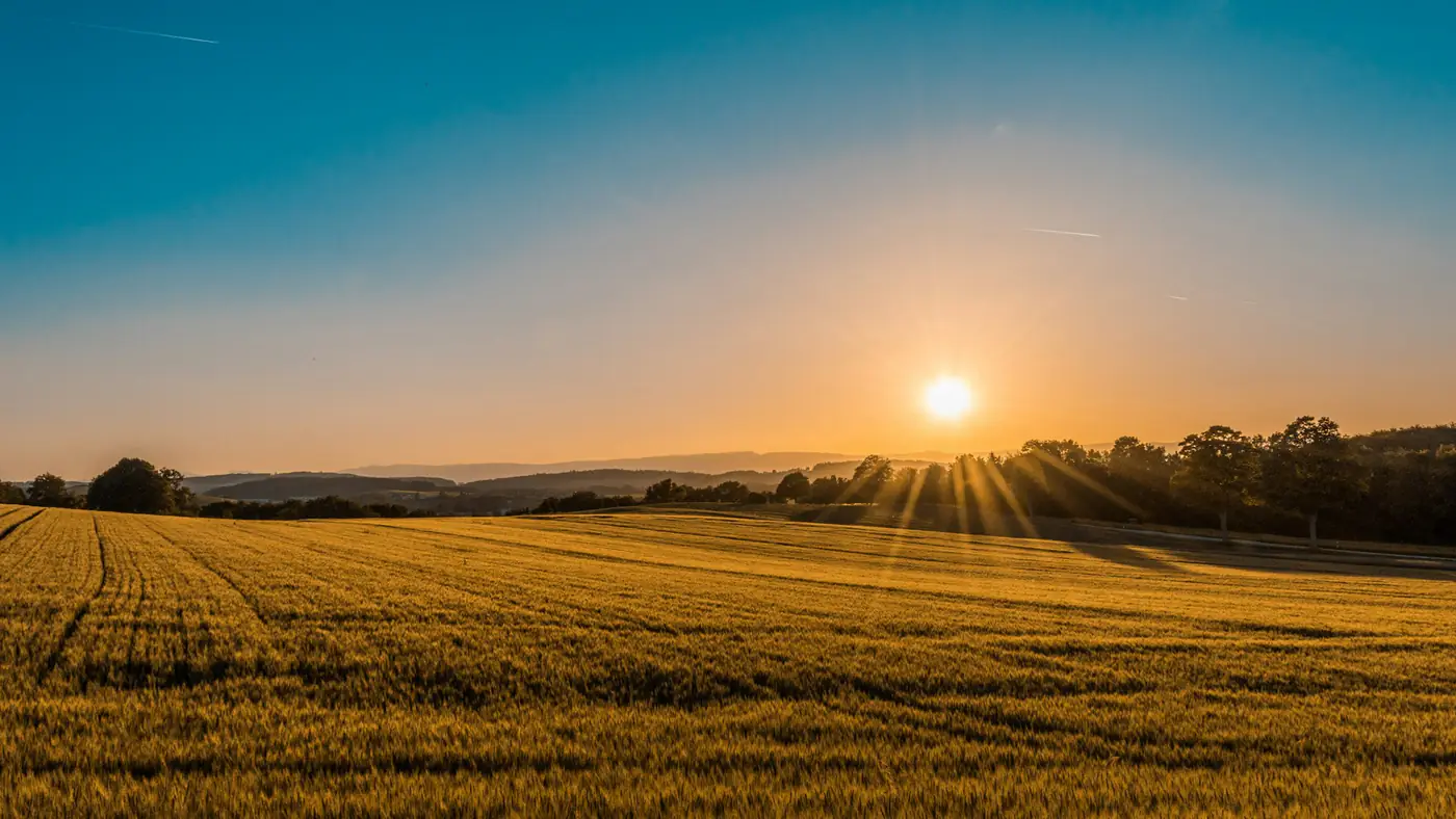 Open fields at sunrise