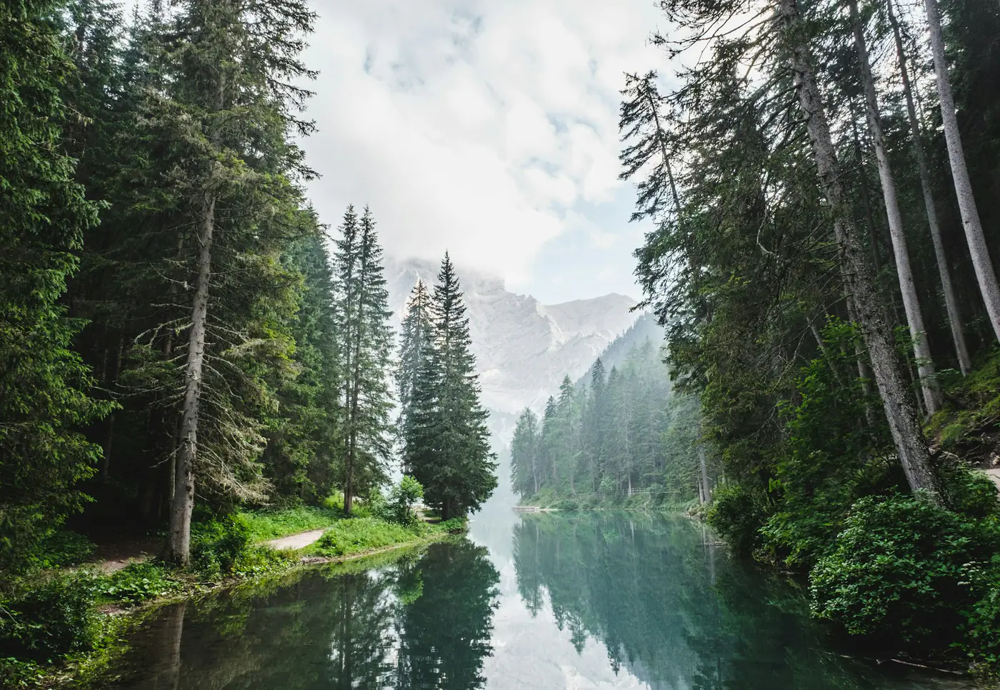 A still lake framed by pine forest